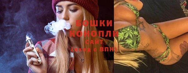 spice Аркадак